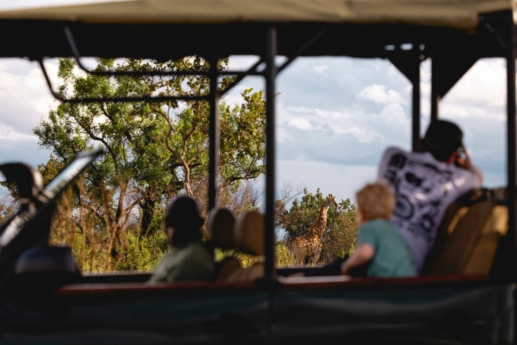 game drive at the waterberg