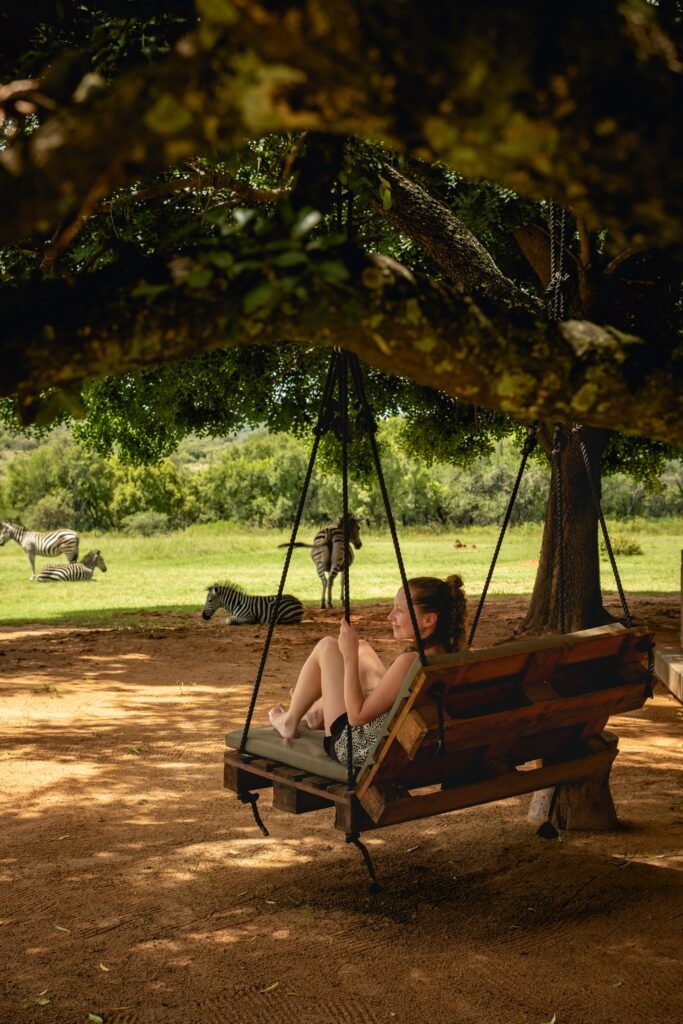 Swing Zebras Crossing